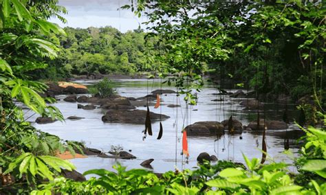 What To know – Suriname Travel Guide