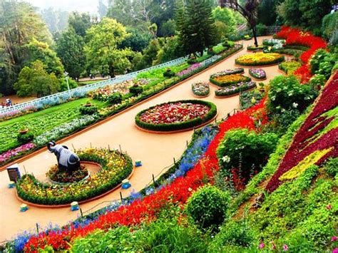 Botanical Gardens (Ooty (Udhagamandalam)) - 2020 All You Need to Know BEFORE You Go (with Photos ...