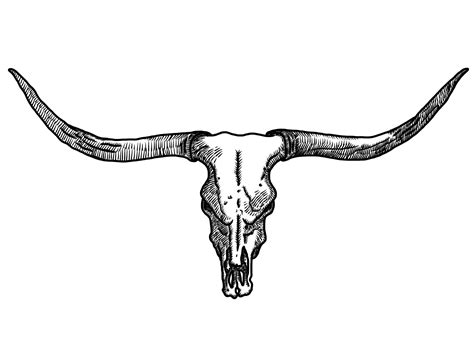 western steer skull clipart 10 free Cliparts | Download images on ...