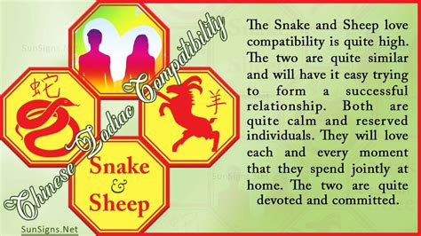 Snake Sheep Compatibility: Easy-Going and Sweet - Zodiac Signs 101