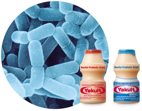 Yakult & Yakult Light Product Information | Yakult & Yakult Light | Probiotic Drink