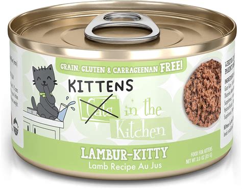 Nourishing Newcomers: Introducing the 8 Best Kitten Foods for Your New ...