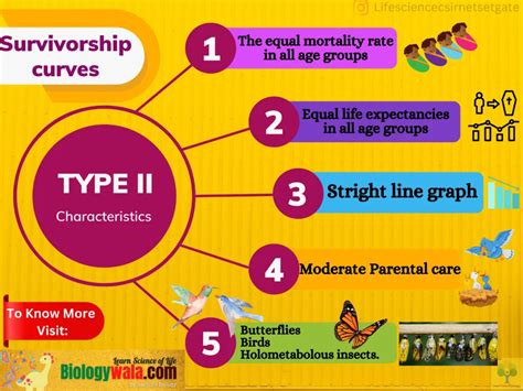 Survivorship Curves: All 3 Types And Their Important Examples