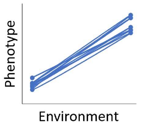 Example reaction norm where each organism (each dot) is paired with a... | Download Scientific ...