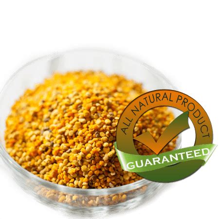 Buy Fresh Bee Pollen Granule 1LB