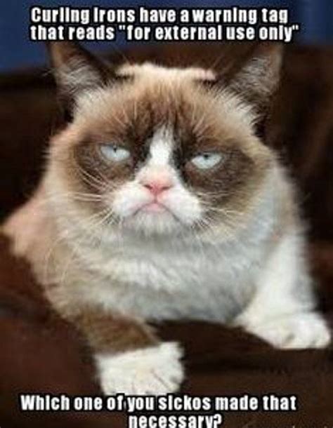 grumpy cat zombie meme