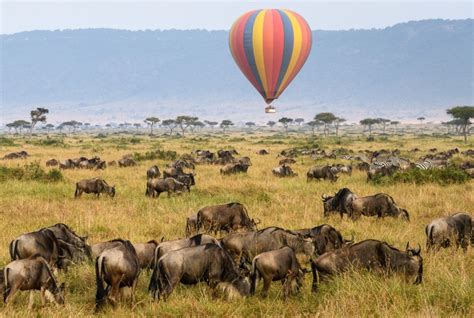 Masai Mara Hot air balloon safari | Maasai Mara Safaris Tours