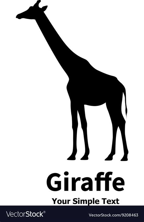 A silhouette of giraffe Royalty Free Vector Image