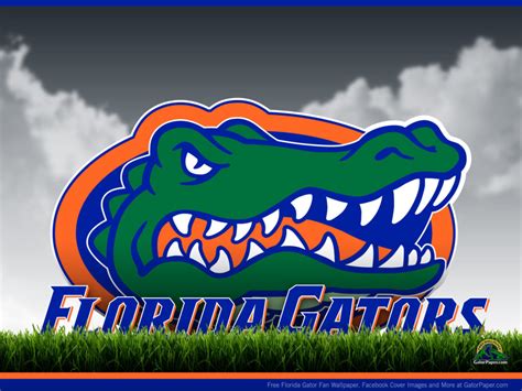 65+ Florida Gator Screensavers and Wallpaper