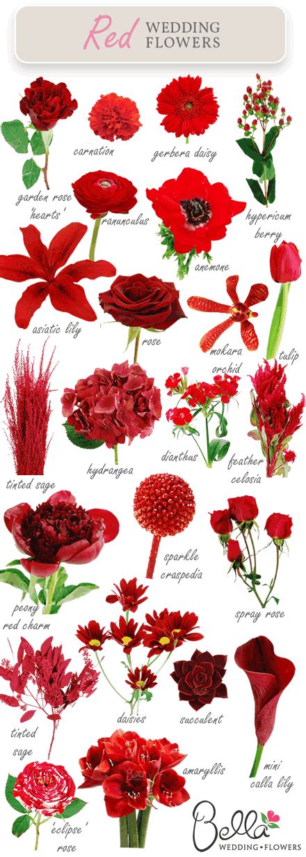 Red Wedding Flowers Guide Pictures, Photos, and Images for Facebook ...