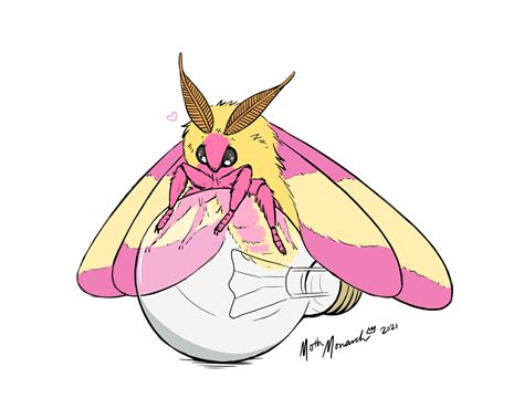 Rosy Maple Moth and Lightbulb — Weasyl