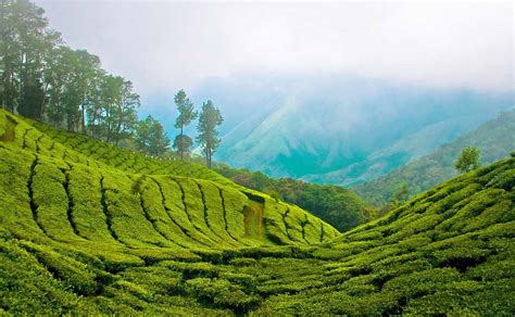 10 Best Places to Visit in Munnar, Kerala | India Tour