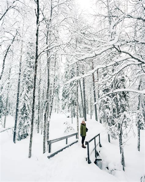 Winter Wonderland in Lapland, Finland - Find Us Lost