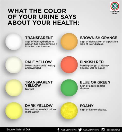 What the color of your pee says about your health | ABS-CBN News