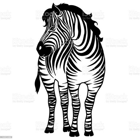 African Zebra Running Side View Outline Striped Silhouette Animal Design Flat Vector ...