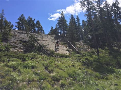 Crowsnest Pass Mountain Bike Trails | Trailforks