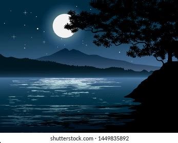 Bright Moonlight River Sky Full Stars Stock Vector (Royalty Free) 1449835892 | Shutterstock