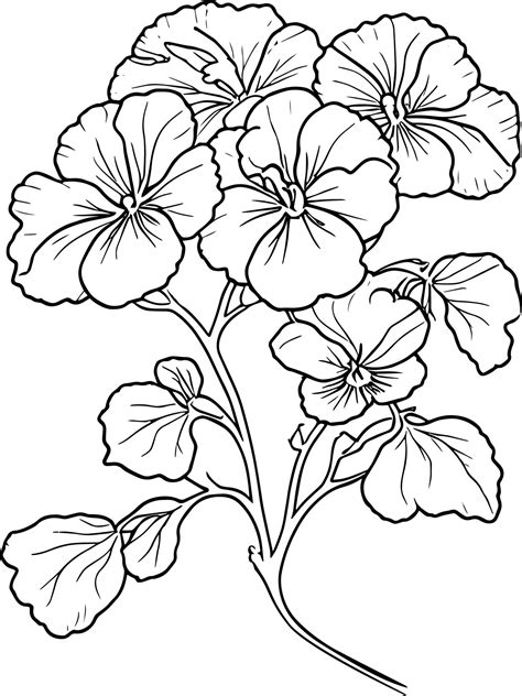 Pansy flower drawing outline, traditional pansy tattoo, pansy line ...