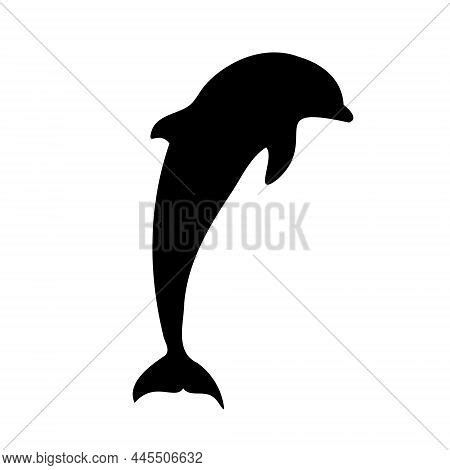 Dolphin Isolated Vector & Photo (Free Trial) | Bigstock