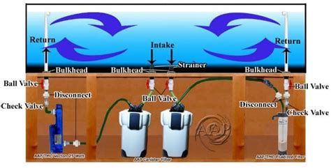 How does a canister filter work? | Saltwater aquarium, Saltwater aquarium setup, Aquarium setup