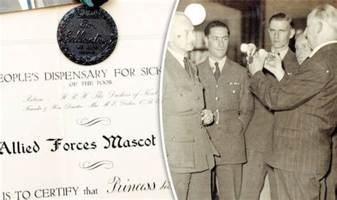 World War II bravery medal awarded to pigeon could fetch £20,000 | UK | News | Express.co.uk