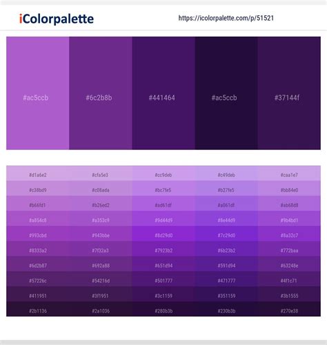 Amethyst Paint Color - ZADIE WEB