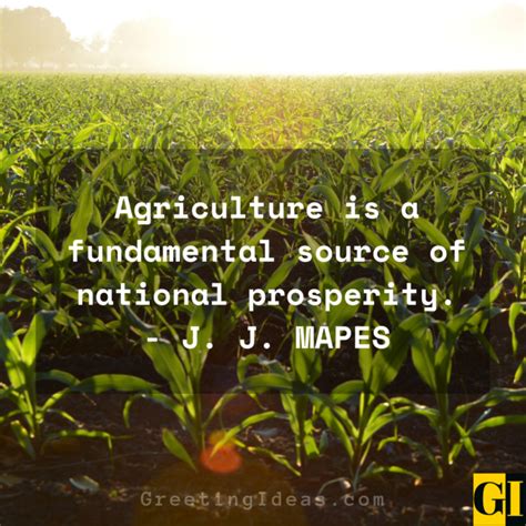 30 Best and Inspirational Agriculture Quotes and Sayings