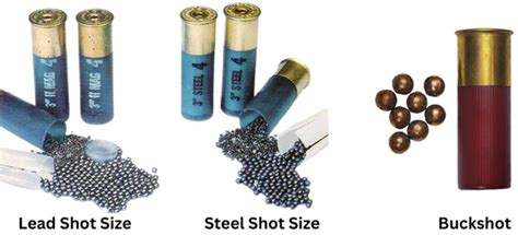 Shotgun Shot Size Chart - Guide To Choose The Right Shot