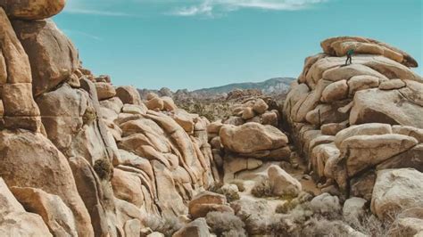 Origins of a Mystery: Joshua Tree's Rock Formations | Wildland Trekking