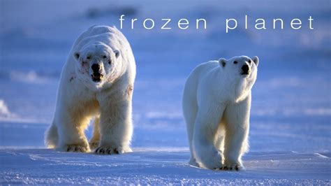 Frozen Planet | Apple TV