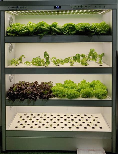 Indoor hydroponic farm Almirah – M – Hydroponics Systems for Home, School, Office & Restaurants ...