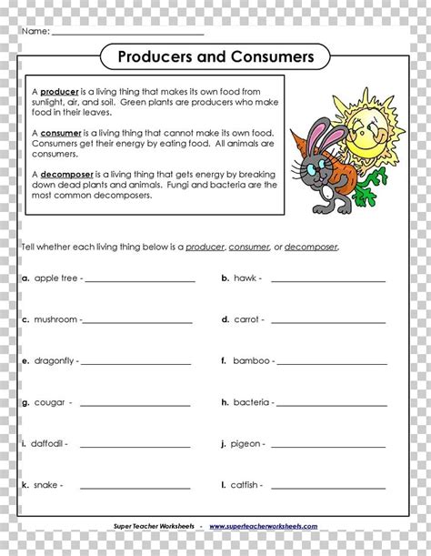 Primary Producers Consumer Decomposer Food Chain Worksheet PNG, Clipart ...