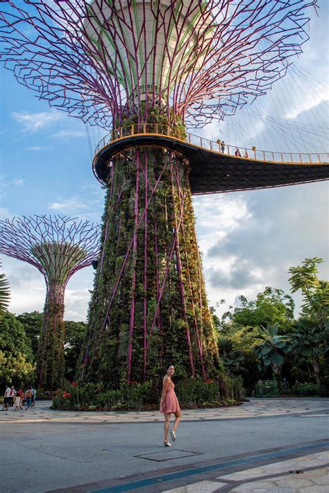 Gardens by the Bay, Singapore - Yolo let's travel the world