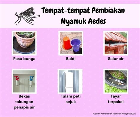 Tempat-tempat Pembiakan Nyamuk Aedes | Nyamuk Aedes mampu membiak dalam takungan air yang ...