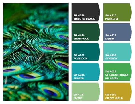 Creative colors peacock palette – Artofit