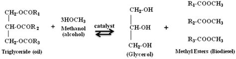 Process for bioethanol production from microalgae. | Download Scientific Diagram