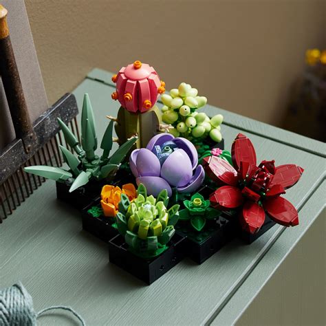 LEGO Releases New Botanical 10311 Orchid & 10309 Succulents Collection ...