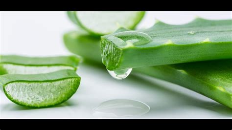 HOMEMADE FACIAL: DIY Aloe Vera Face Mask For Skin And Hair - YouTube