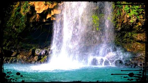 Rincon de la Vieja National Park, Costa Rica 🇨🇷 WILDLIFE at Beautiful Catarata Cangraja - YouTube