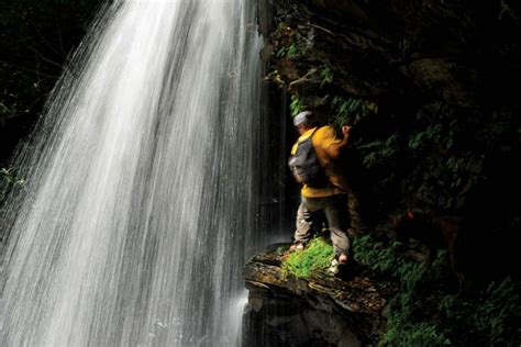 100 Years of the Monongahela National Forest - Highland Outdoors