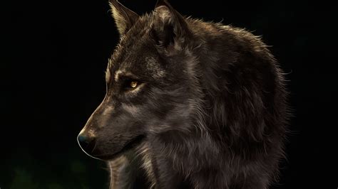 Wolf digital painting wallpaper - backiee