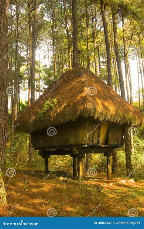 Igorot Hut stock image. Image of cool, grass, cogon, forest - 3082337