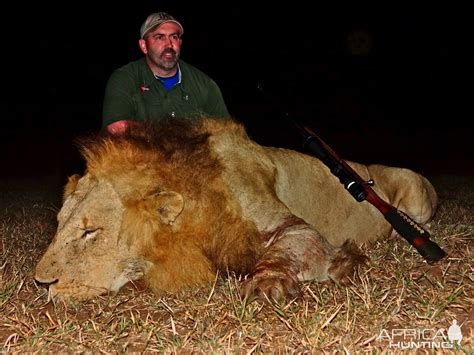 Hunting Lion | AfricaHunting.com