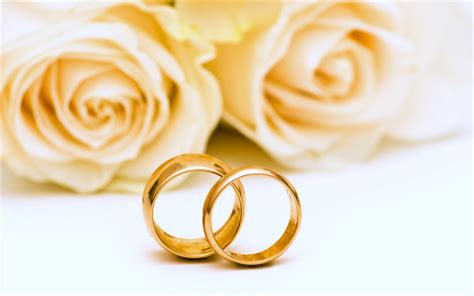 Download wallpapers wedding gold rings, white roses, wedding, wedding jewelry, wedding concepts ...