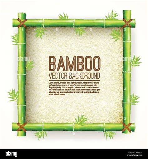 template bamboo board with stretched paper for text place background. Vector nature illustration ...