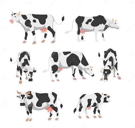 Set of Holstein Cows for Livestock Farm in Flat Vector Illustration ...