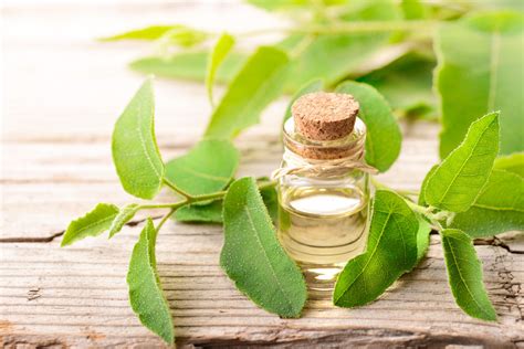 9 health benefits of using eucalyptus oil