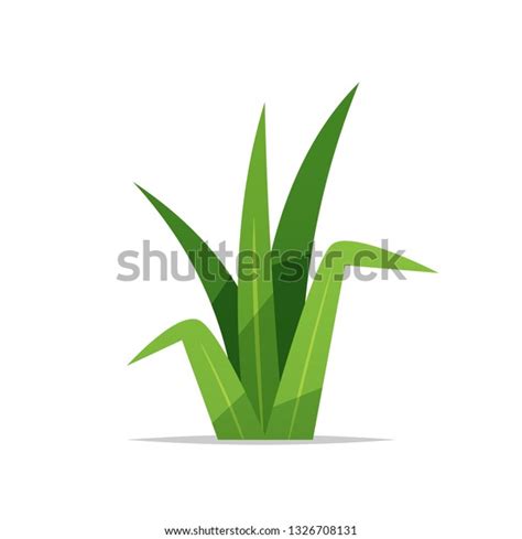 Grass Vector Isolated Illustration Stock Vector (Royalty Free) 1326708131 | Shutterstock