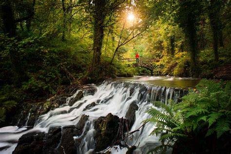 10 BEST things to do in Cavan in 2024 (we tried them all)