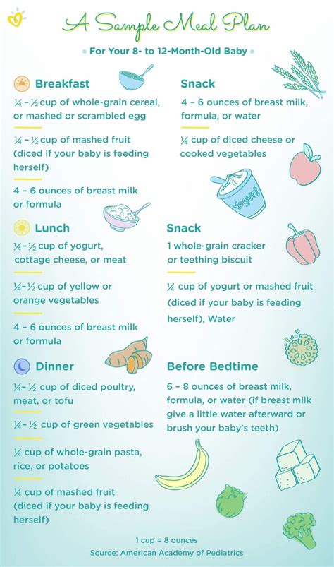 9 10 12 Month Old Baby Meal Plan & Development Milestones - StudyPK